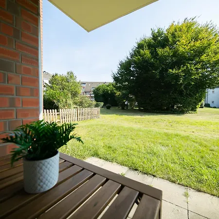 Favorite - Furth ניאוס